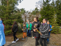 Niedziela Palmowa 2026