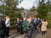 Niedziela Palmowa 2026